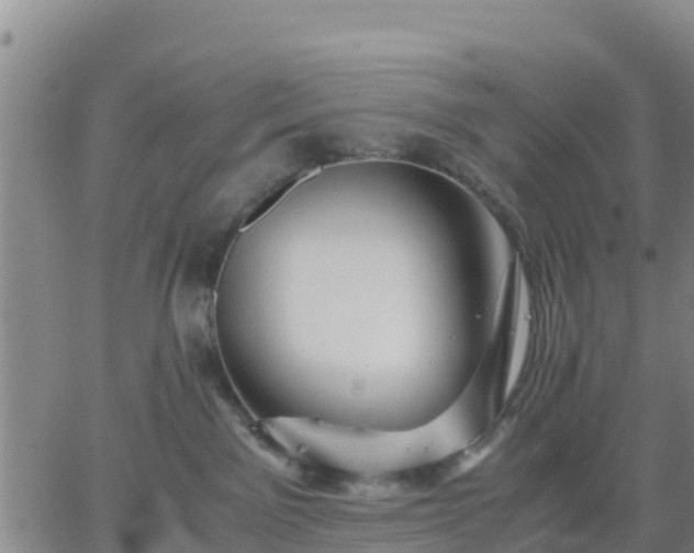 X0000063460141200601271614