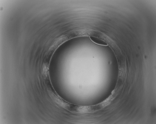 X0000063460142200601271614