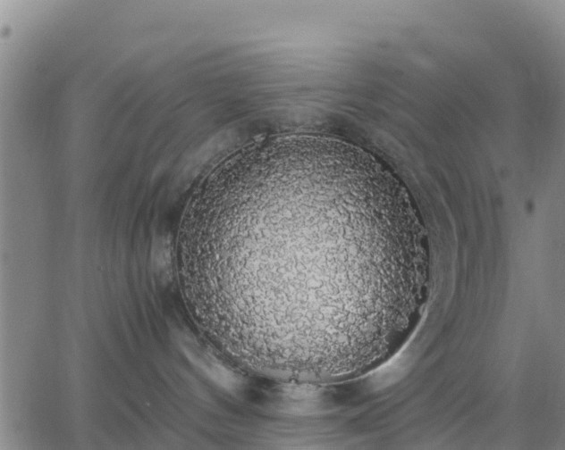 X0000063460144200601271614