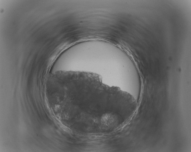 X0000063460145200601271613