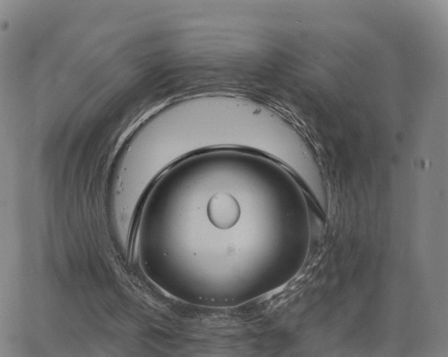 X0000063460146200601271613