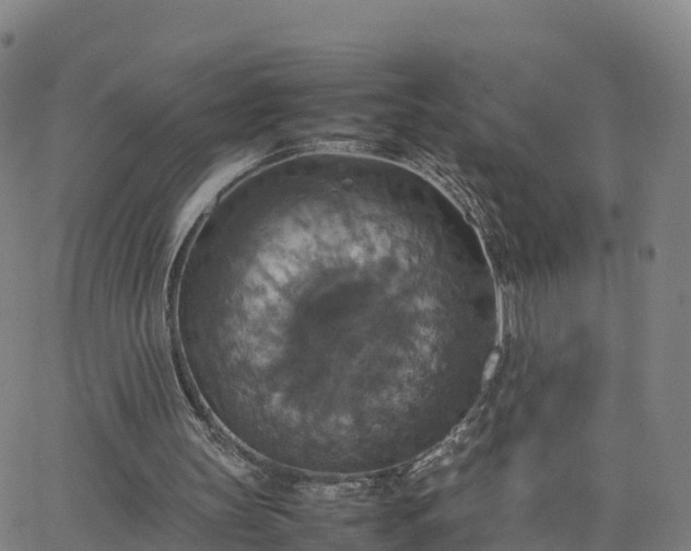 X0000063460147200601271613