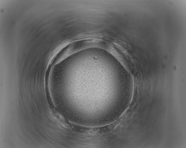 X0000063460148200601271613