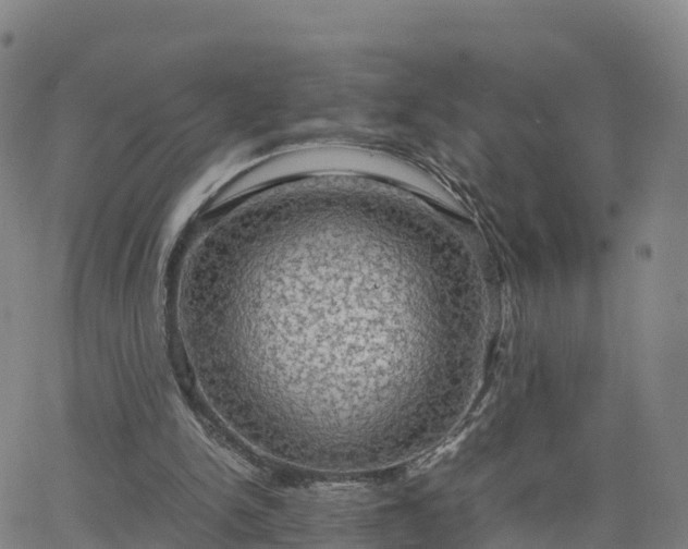 X0000063460150200601271613