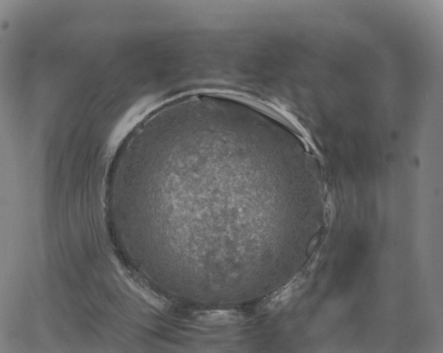 X0000063460151200601271613