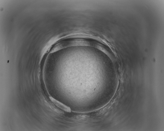 X0000063460152200601271613