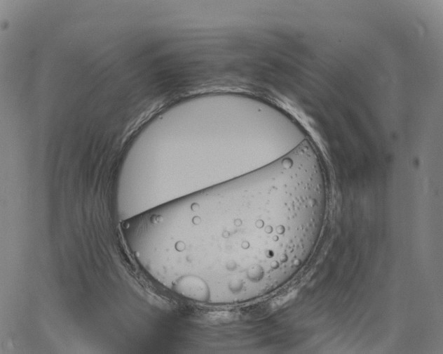 X0000063460153200601271613