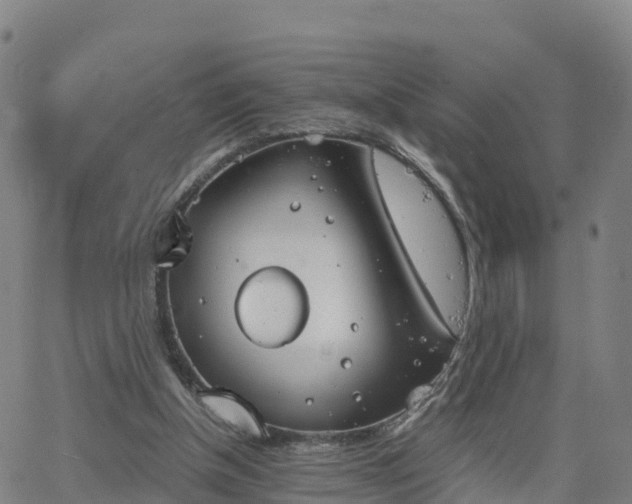 X0000063460154200601271613