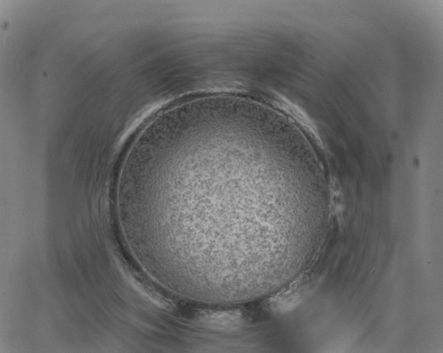 X0000063460155200601271613