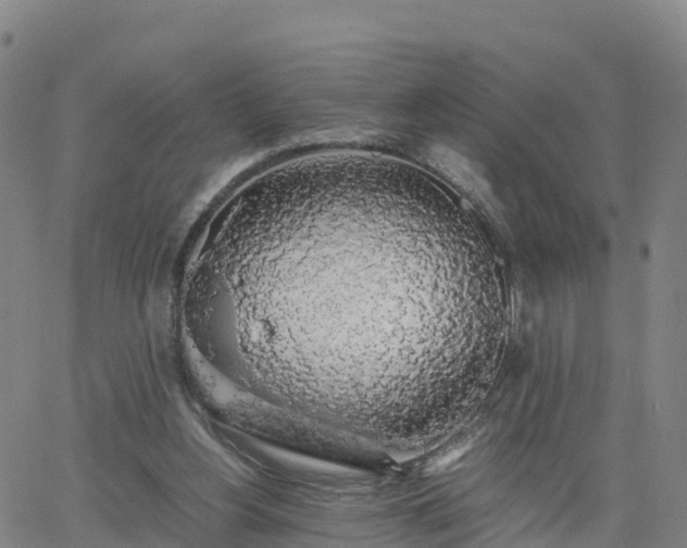 X0000063460156200601271613