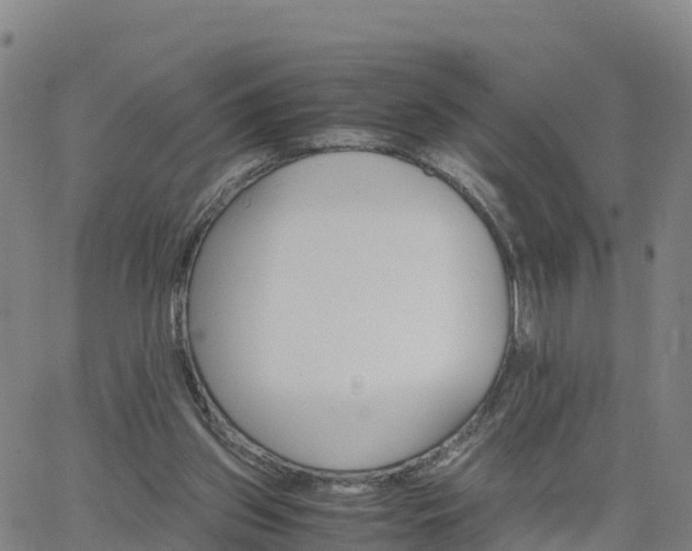 X0000063460157200601271613