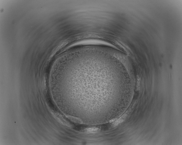 X0000063460158200601271613