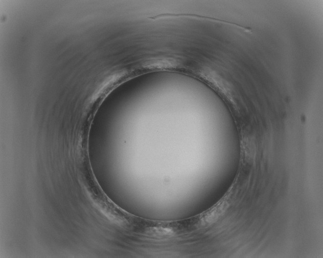 X0000063460159200601271613