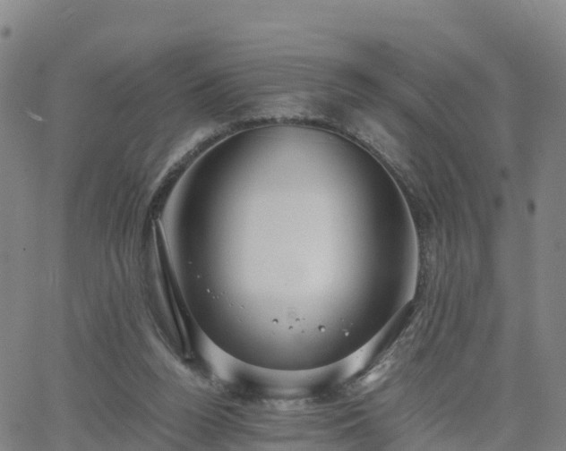 X0000063460160200601271613