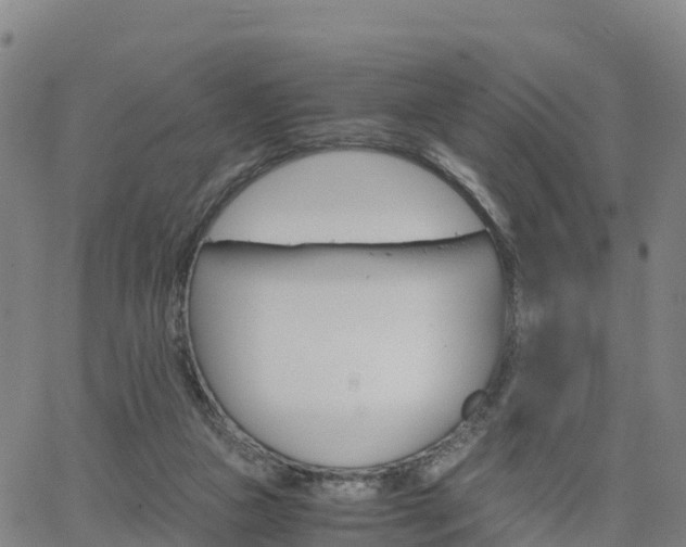 X0000063460161200601271613