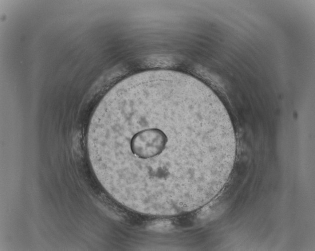 X0000063460162200601271613