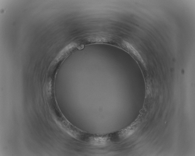 X0000063460163200601271613