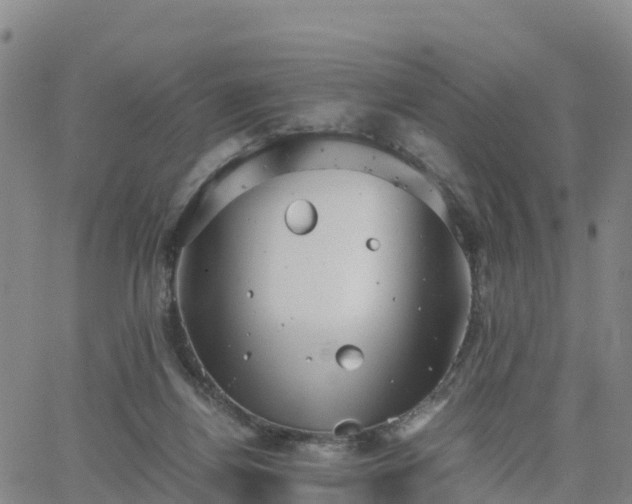 X0000063460164200601271613