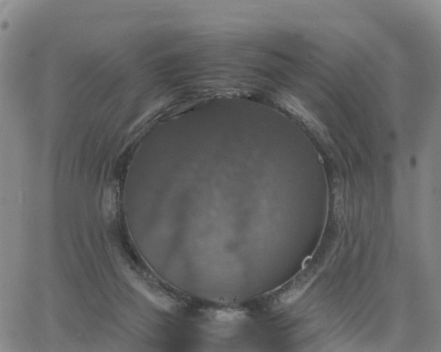 X0000063460165200601271613