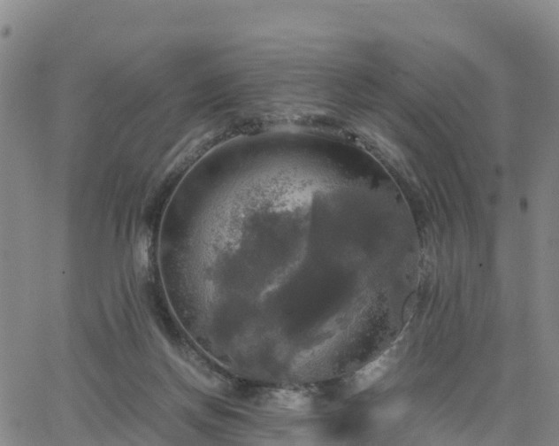 X0000063460166200601271613