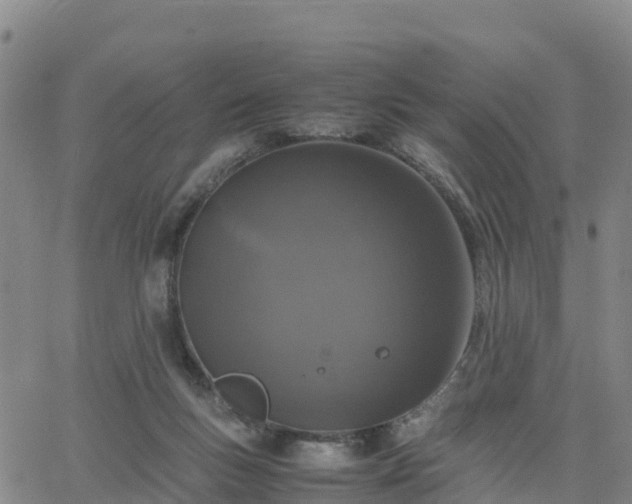 X0000063460167200601271613