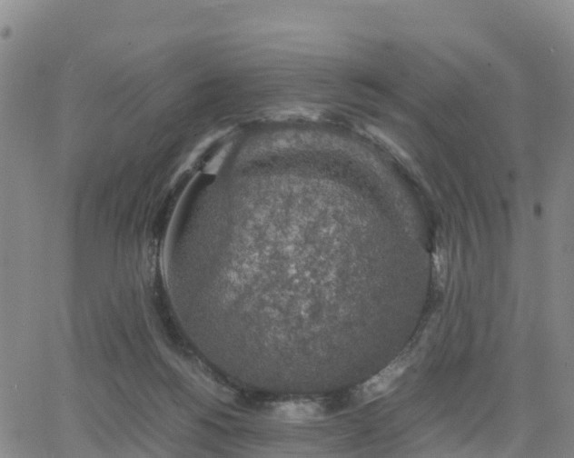 X0000063460168200601271613