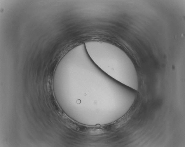 X0000063460169200601271613