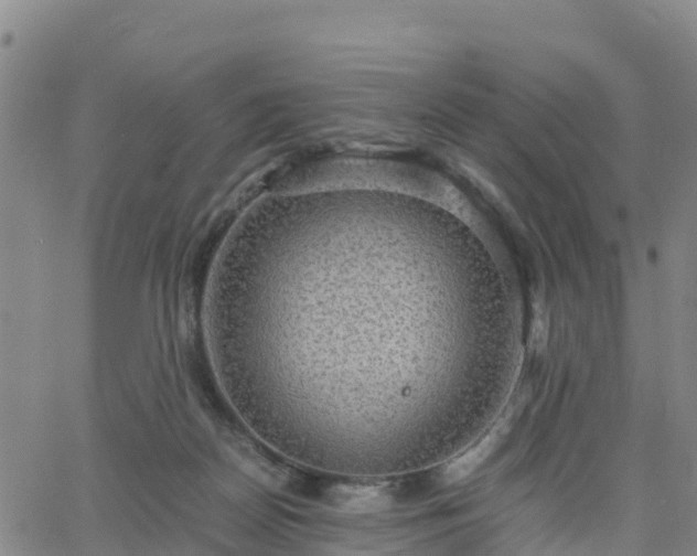 X0000063460170200601271613