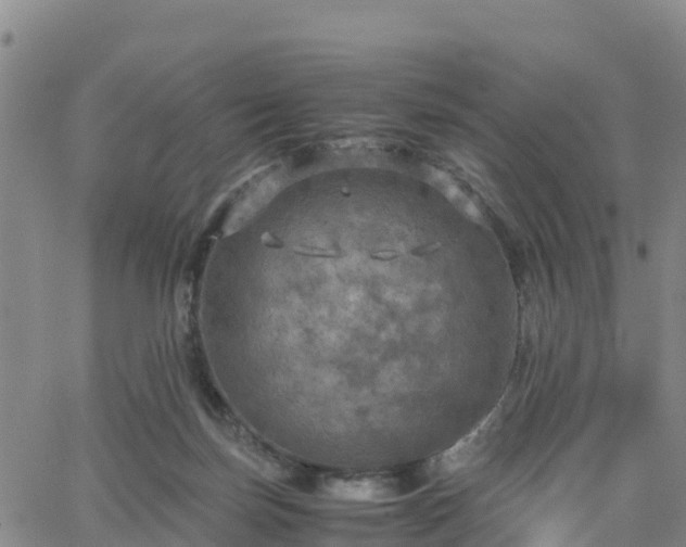 X0000063460171200601271613