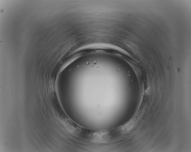 X0000063460172200601271613