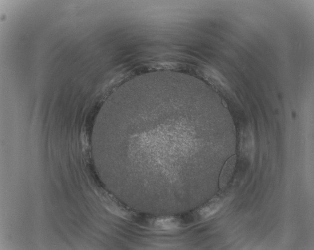 X0000063460173200601271613