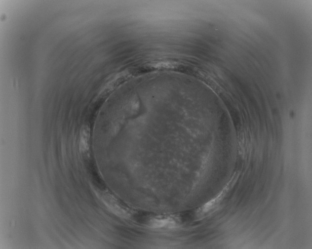 X0000063460175200601271613