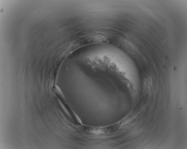 X0000063460177200601271613