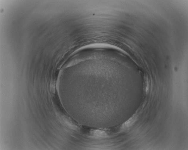 X0000063460180200601271613