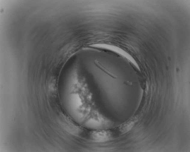 X0000063460181200601271613