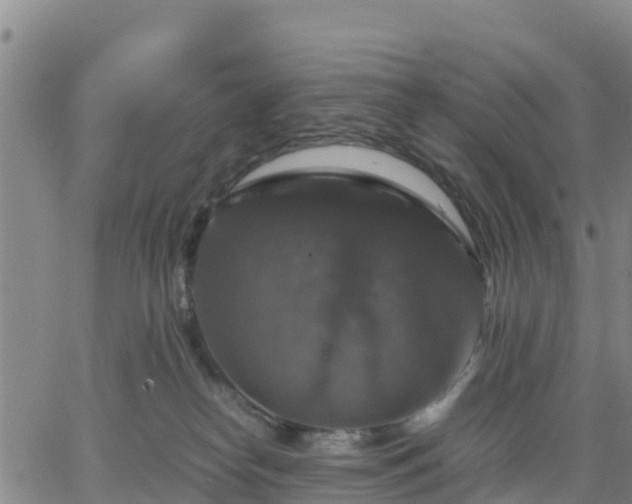 X0000063460182200601271613