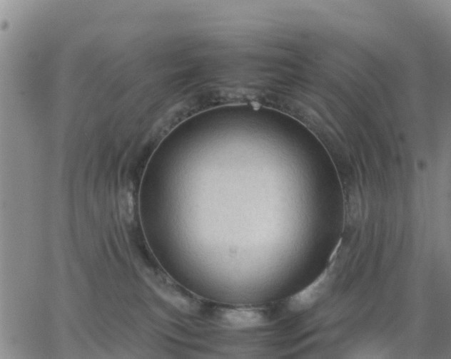 X0000063460183200601271613