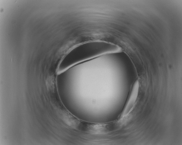 X0000063460184200601271613