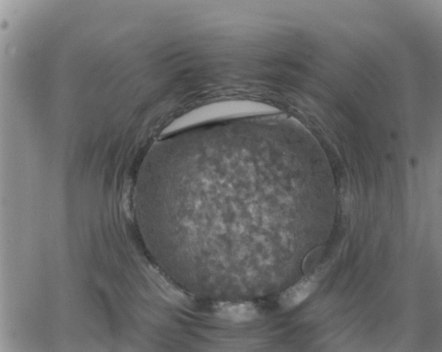 X0000063460185200601271613