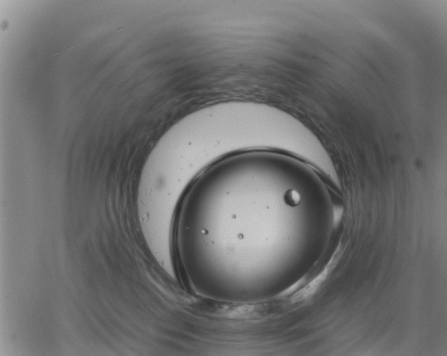 X0000063460186200601271613