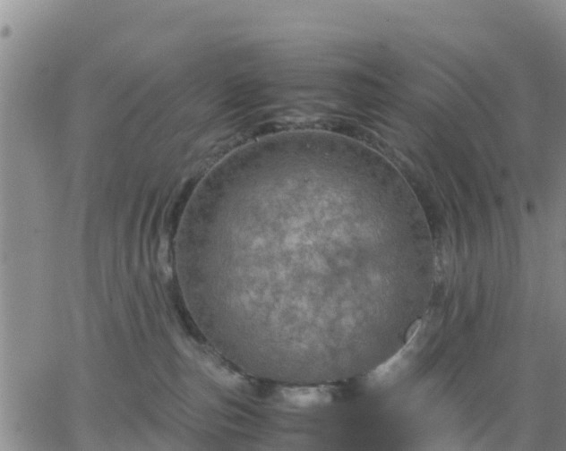 X0000063460187200601271613