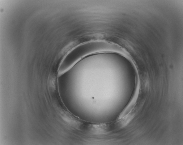 X0000063460188200601271613