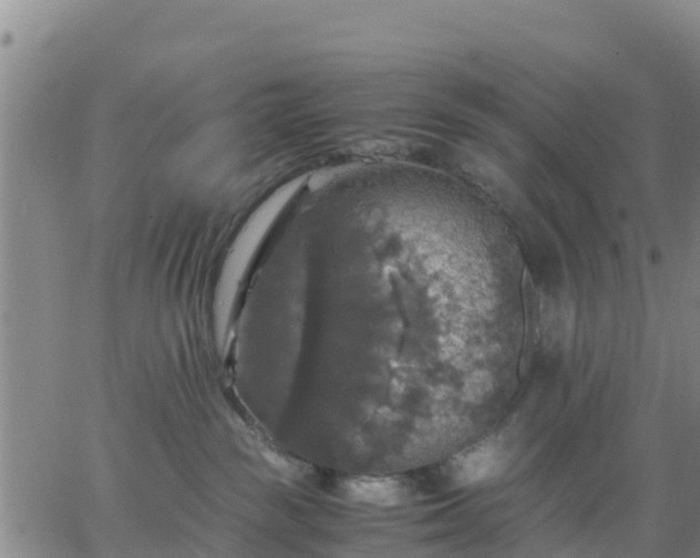 X0000063460189200601271613