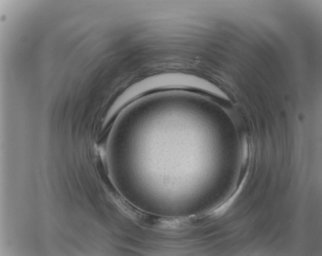 X0000063460190200601271614