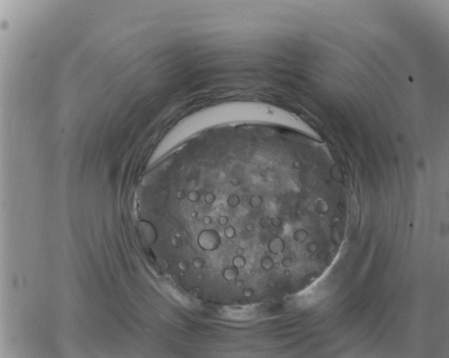 X0000063460191200601271614