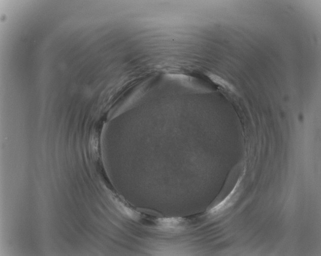 X0000063460192200601271614