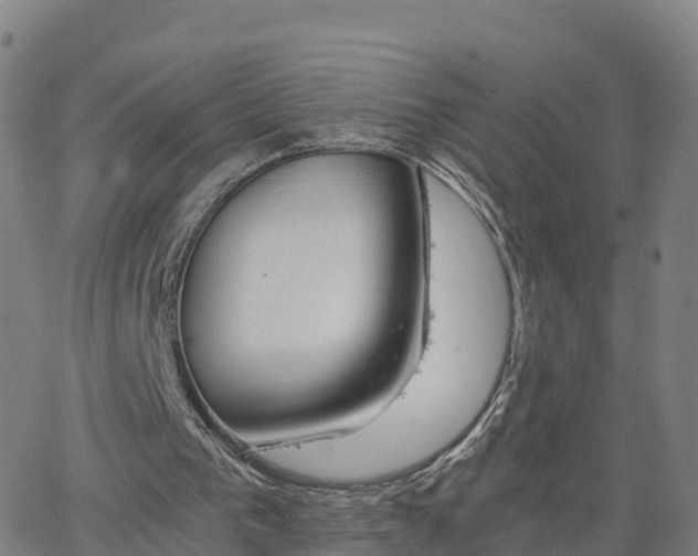 X0000063460193200601271613