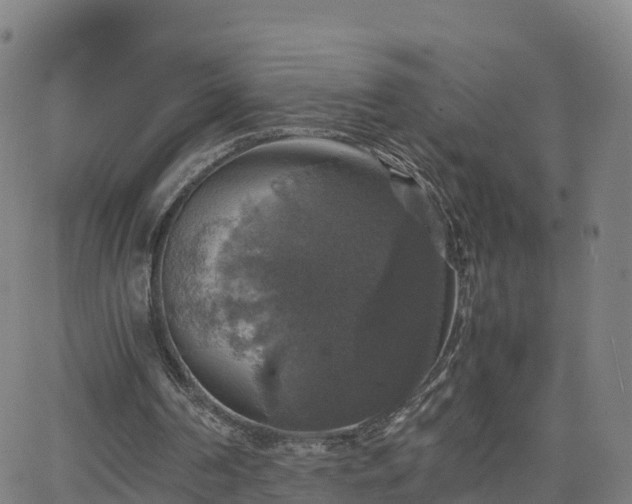 X0000063460194200601271613