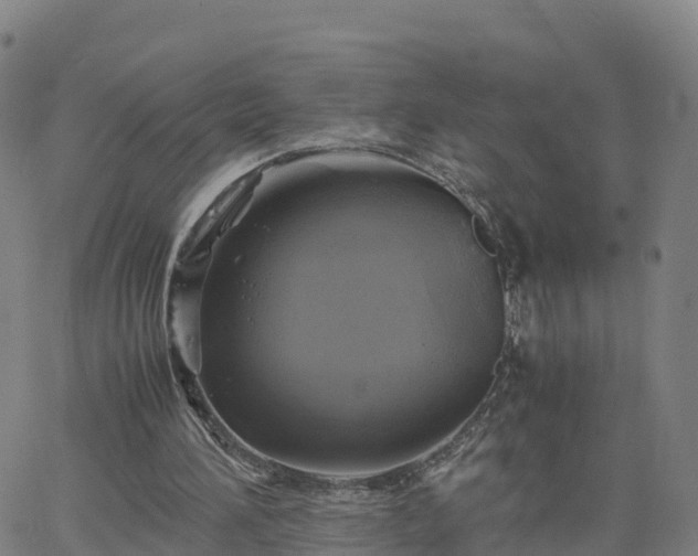 X0000063460196200601271613