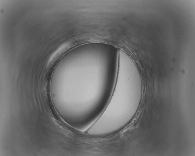 X0000063460197200601271613